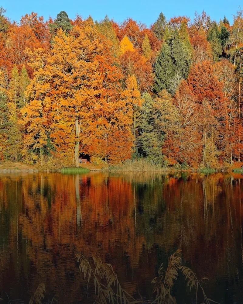 Autumn in Banatul Montan near MAPAMONT Văliug