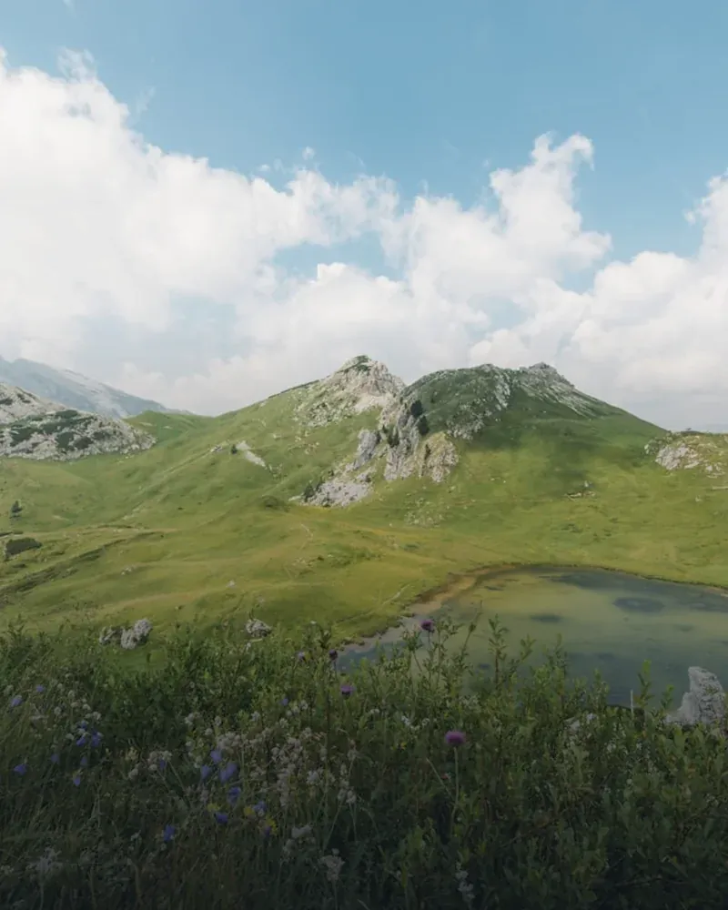 Summer landscape near MAPAMONT, Văliug