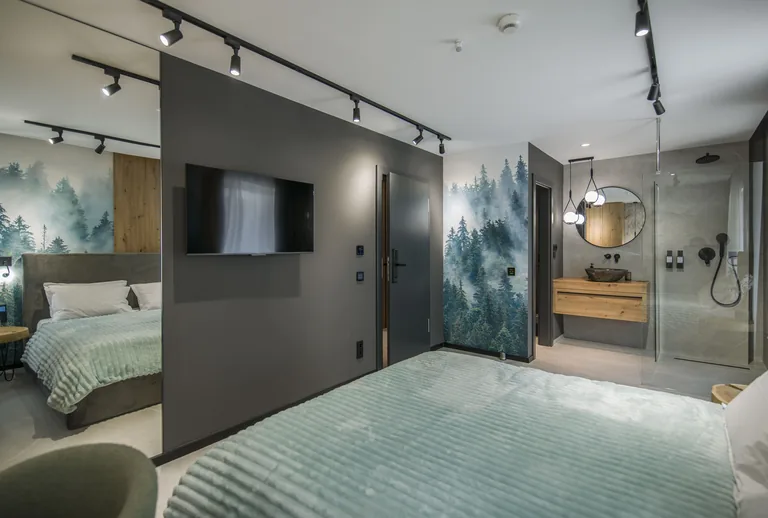 Camera Open Space de la Pensiunea MAPAMONT, cu dormitor deschis și baie integrată, Văliug