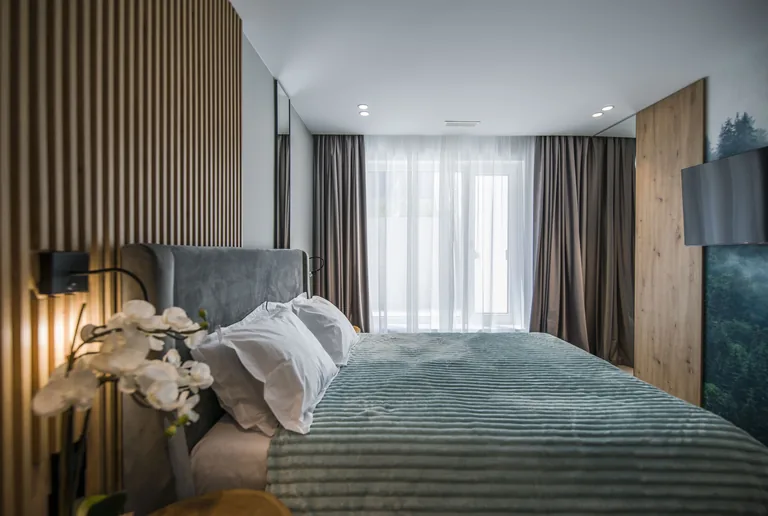 Standard Room at MAPAMONT guesthouse, with a velvet headboard and wood paneling, Văliug