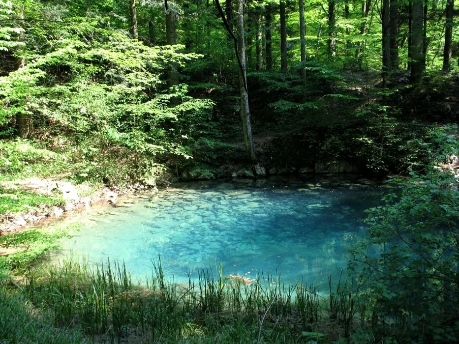 Ochiul Beiului, a strikingly turquoise karst lake surrounded by forest, Nera Gorges-Beușnița