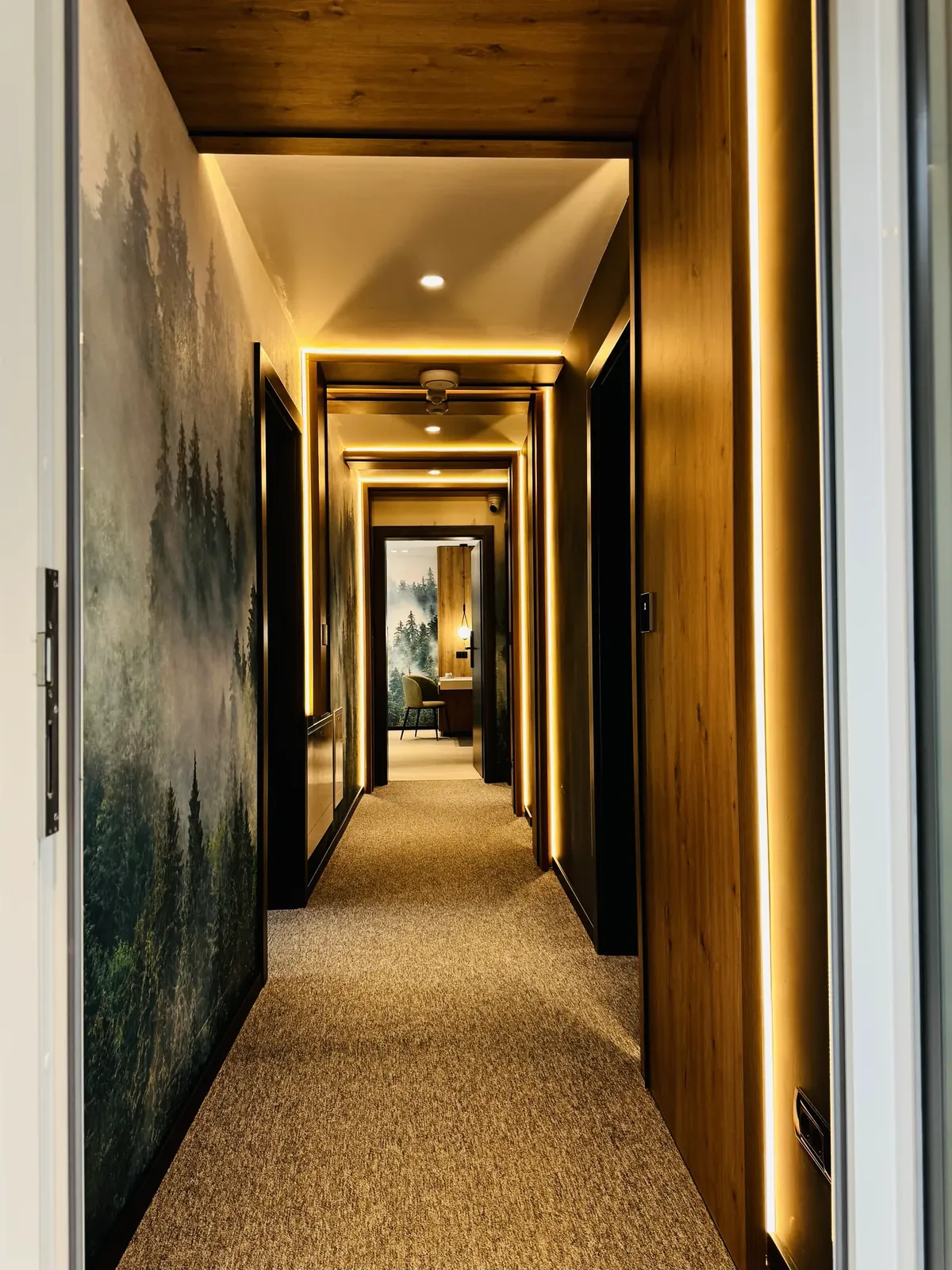 Corridor with premium décor and forest wallpaper, MAPAMONT guesthouse, Văliug