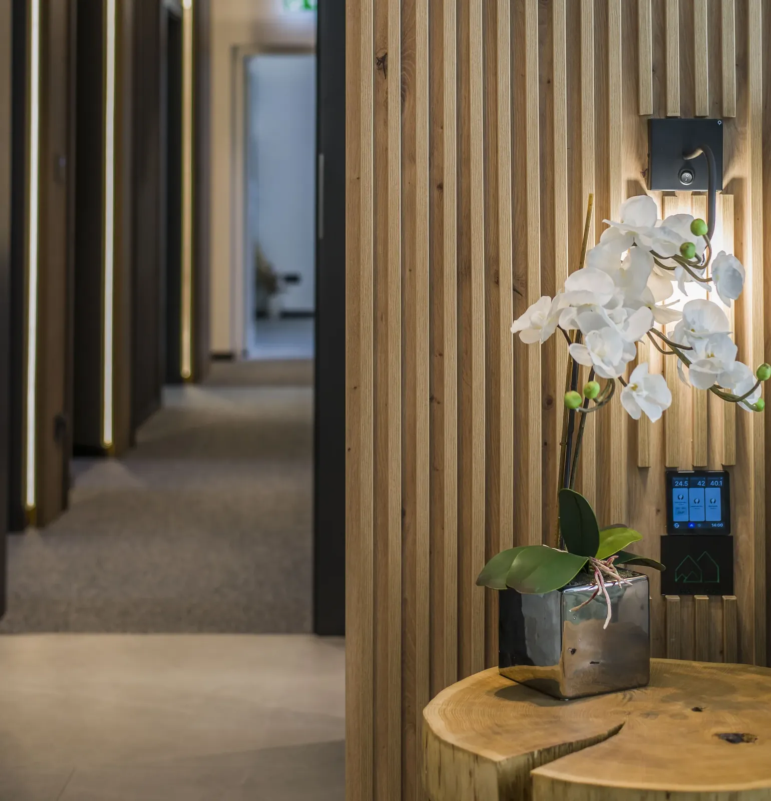 Bedside detail with fluted wood panelling, MAPAMONT Văliug accommodation