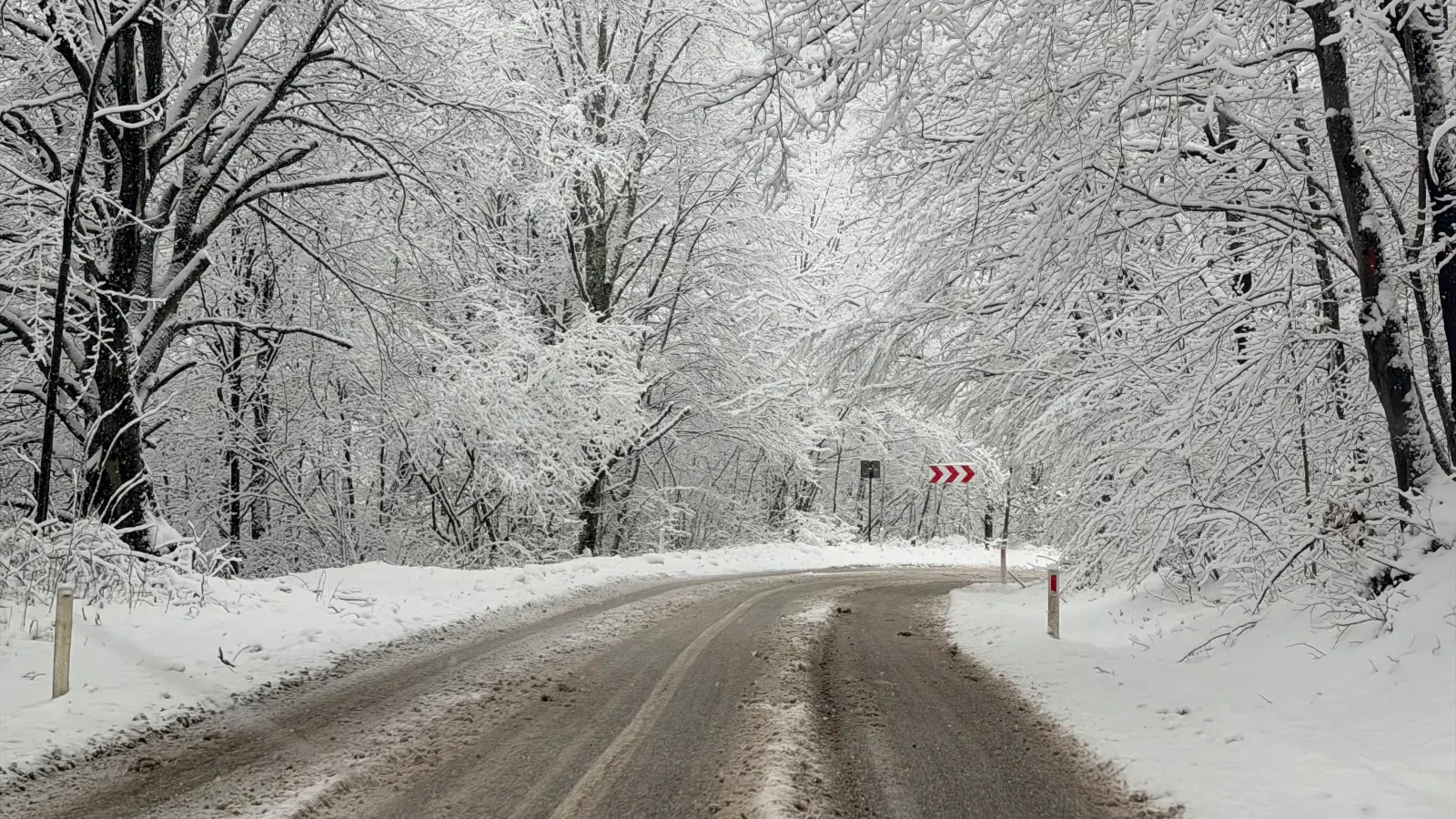 Snow-covered forest on the road to Văliug, Semenic Mountains