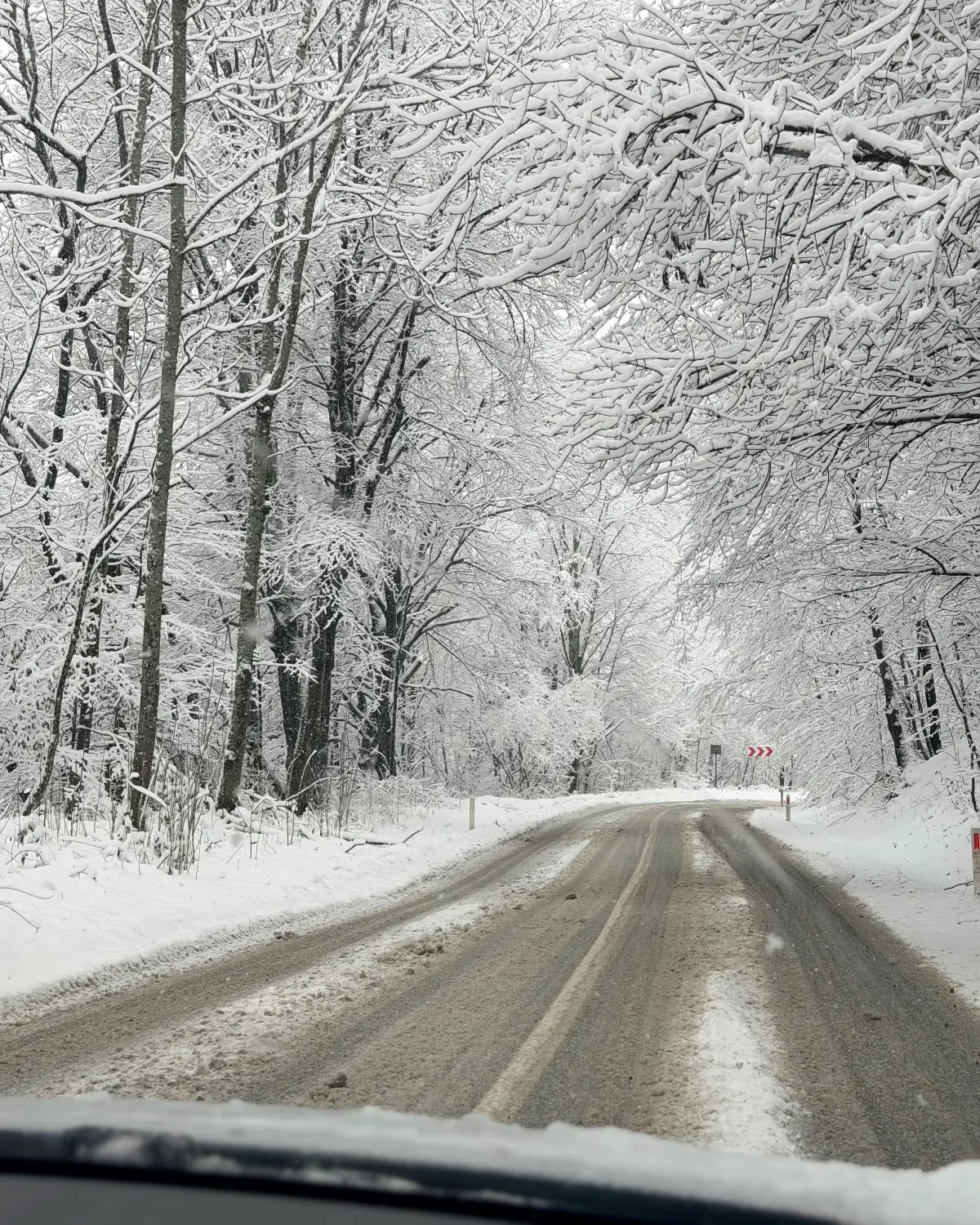 The road to Văliug through a white, snow-covered forest in the Semenic Mountains